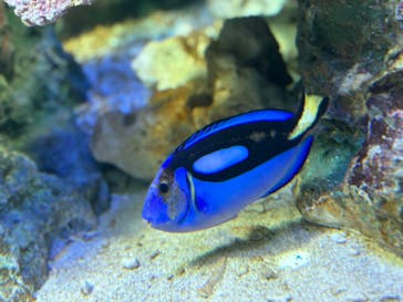 サンシャイン水族館に投稿された画像（2024/5/27）