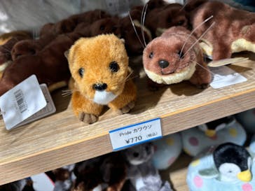 サンシャイン水族館に投稿された画像（2024/5/27）