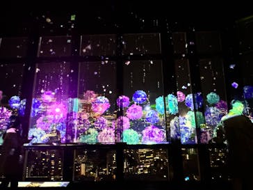 東京タワーに投稿された画像（2024/5/27）