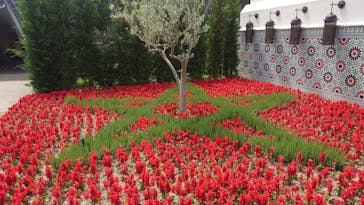 ぎふワールド・ローズガーデンに投稿された画像（2024/5/27）