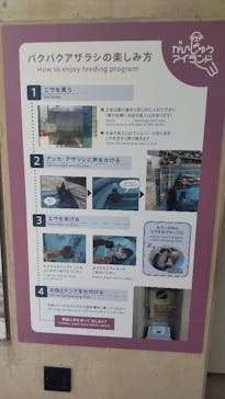 マリンワールド海の中道に投稿された画像（2024/5/28）