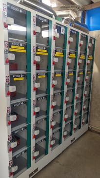 マリンワールド海の中道に投稿された画像（2024/5/28）