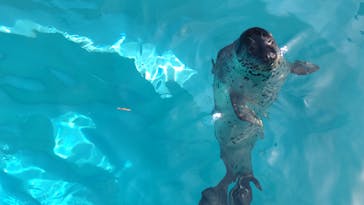 マリンワールド海の中道に投稿された画像（2024/5/28）