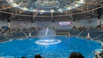 マクセル アクアパーク品川に投稿された画像（2024/5/28）