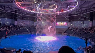 マクセル アクアパーク品川に投稿された画像（2024/5/28）