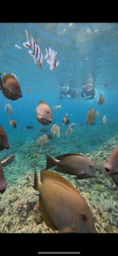 武藤潜水に投稿された画像（2024/5/28）