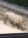 東武動物公園に投稿された画像（2024/5/28）
