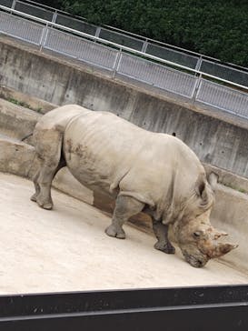 東武動物公園に投稿された画像（2024/5/28）
