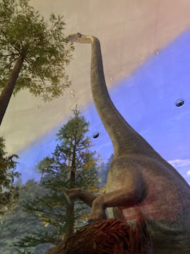 福井県立恐竜博物館に投稿された画像（2024/5/28）