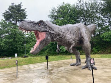 福井県立恐竜博物館に投稿された画像（2024/5/28）