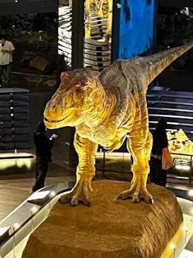 福井県立恐竜博物館に投稿された画像（2024/5/28）