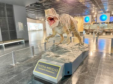 福井県立恐竜博物館に投稿された画像（2024/5/28）