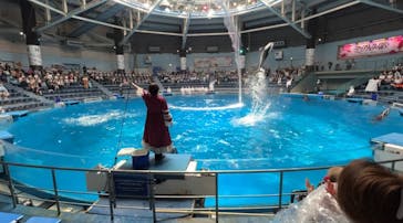 マクセル アクアパーク品川に投稿された画像（2024/5/28）