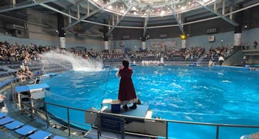 マクセル アクアパーク品川に投稿された画像（2024/5/28）