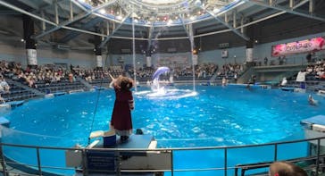 マクセル アクアパーク品川に投稿された画像（2024/5/28）