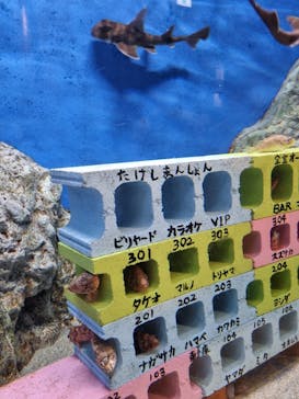 竹島水族館に投稿された画像（2024/5/28）
