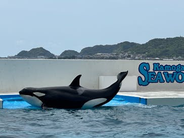 鴨川シーワールドに投稿された画像（2024/5/28）