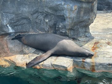 鴨川シーワールドに投稿された画像（2024/5/28）