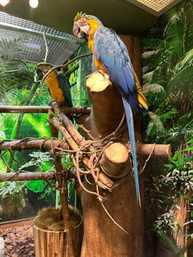 世界淡水魚園水族館　アクア・トトぎふに投稿された画像（2024/5/28）