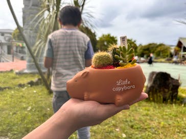 アソビュー！ポイントに投稿された画像（2024/5/25）