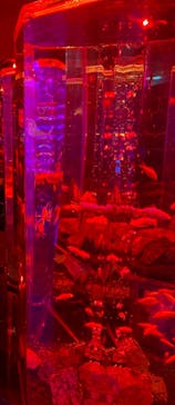 NARA IKIMONO MUSEUMに投稿された画像（2024/5/28）