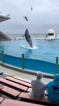 鴨川シーワールドに投稿された画像（2024/5/28）