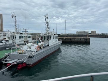 M.a.r.i.n.e Factoryに投稿された画像（2024/5/28）