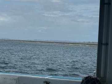 M.a.r.i.n.e Factoryに投稿された画像（2024/5/28）