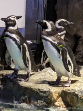 すみだ水族館に投稿された画像（2024/5/29）