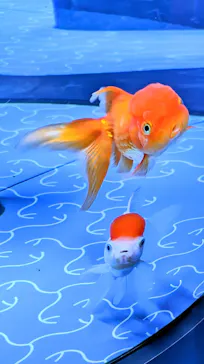 すみだ水族館に投稿された画像（2024/5/29）