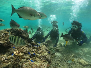 武藤潜水に投稿された画像（2024/5/29）