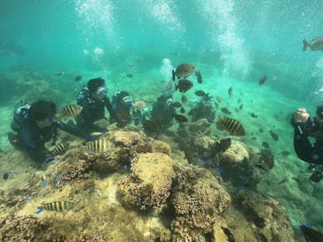 武藤潜水に投稿された画像（2024/5/29）