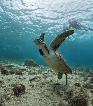 宮古島マリンショップSmileyに投稿された画像（2024/5/29）