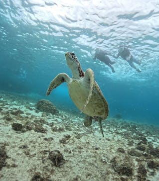 宮古島マリンショップSmileyに投稿された画像（2024/5/29）