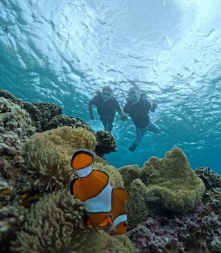 宮古島マリンショップSmileyに投稿された画像（2024/5/29）