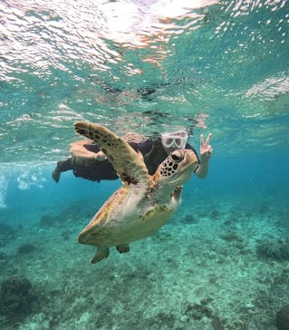 宮古島マリンショップSmileyに投稿された画像（2024/5/29）