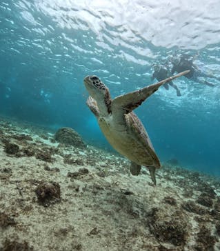 宮古島マリンショップSmileyに投稿された画像（2024/5/29）