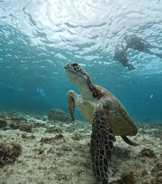 宮古島マリンショップSmileyに投稿された画像（2024/5/29）