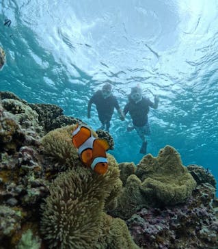 宮古島マリンショップSmileyに投稿された画像（2024/5/29）