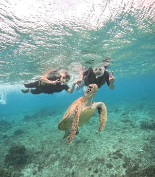 宮古島マリンショップSmileyに投稿された画像（2024/5/29）