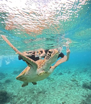 宮古島マリンショップSmileyに投稿された画像（2024/5/29）