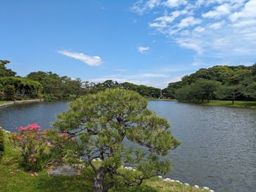 三溪園に投稿された画像（2024/5/29）