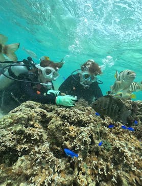 DIVING-SHOP SUNSに投稿された画像（2024/5/29）