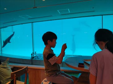 マリンワールド海の中道に投稿された画像（2024/5/29）