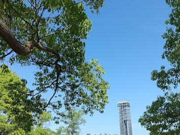 浜名湖花博2024に投稿された画像（2024/5/29）