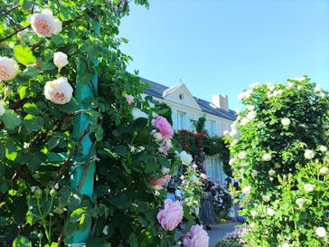 浜名湖花博2024に投稿された画像（2024/5/29）