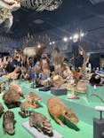 特別展「大哺乳類展３－わけてつなげて大行進」に投稿された画像（2024/5/29）