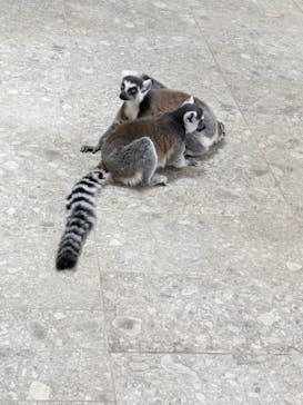 NIFREL（ニフレル）に投稿された画像（2024/5/29）