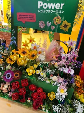 レゴランド®・ディスカバリー・センター 東京に投稿された画像（2024/5/29）