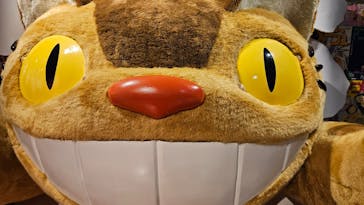 アニメージュとジブリ展　札幌会場に投稿された画像（2024/5/29）